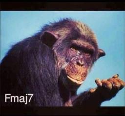 I'm Bored, So I Wrote You This Song