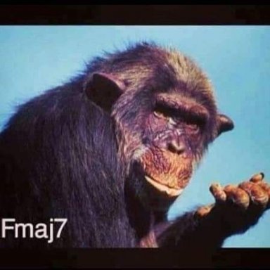 I'm Bored, So I Wrote You This Song