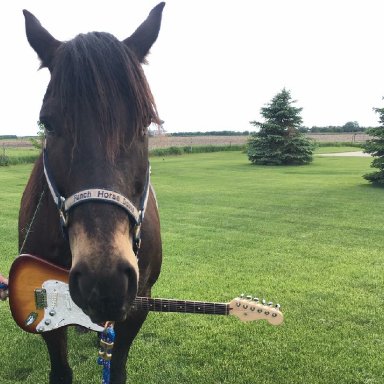 Be Careful What You Wish For