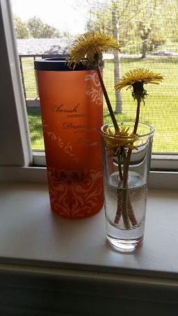 Mom, I Brought You Flowers