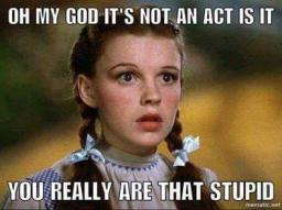 I Won't Fall For That Again