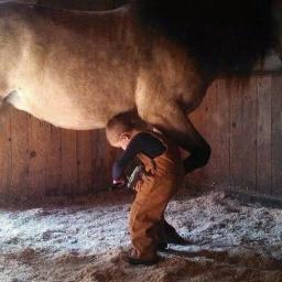 The Farrier
