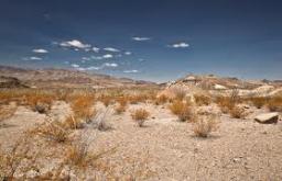 Only A Mile To The San Pedro
