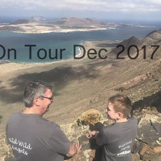 Christmas Tour