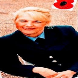 image3b.jpeg